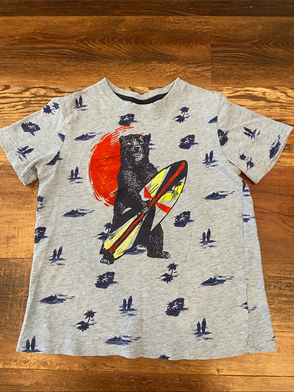 Hanna Andersson Grey Tee with Bear Surfboard Graphic